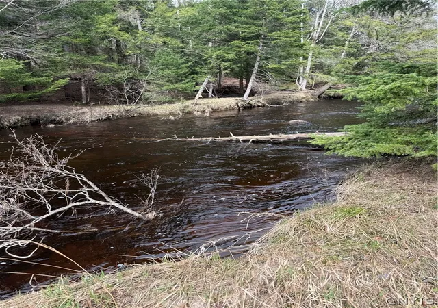 Photo 4 of Sale Pending at Lot 96 West Rd, Forestport, NY 13338 | MLS# S1674605 | Listing updated on 2026-07-22