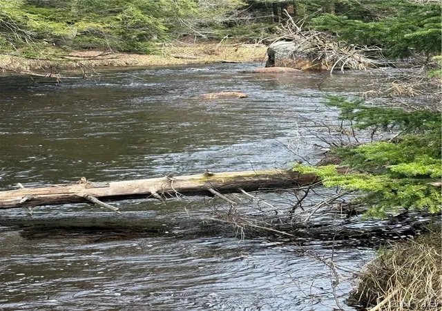 Photo 5 of Sale Pending at Lot 96 West Rd, Forestport, NY 13338 | MLS# S1674605 | Listing updated on 2026-07-22