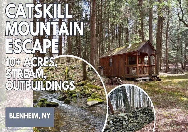 Homes for sale in Blenheim, NY | Lot 615 Little Beaver Creek Ln, Blenheim, NY 12093 | MLS# R1674502