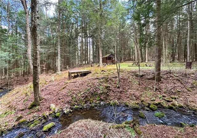Homes for sale in Blenheim, NY | Lot 615 Little Beaver Creek Ln, Blenheim, NY 12093 | MLS# R1674502