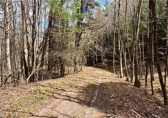 Homes for sale in Blenheim, NY | Lot 615 Little Beaver Creek Ln, Blenheim, NY 12093 | MLS# R1674502