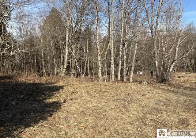 4th image of 1784 Emory Hill Rd, Carroll, NY 14738 | MLS# R1673458
