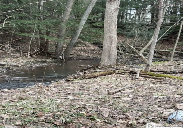 4th image of 1760 Emory Hill Rd, Carroll, NY 14738 | MLS# R1674706