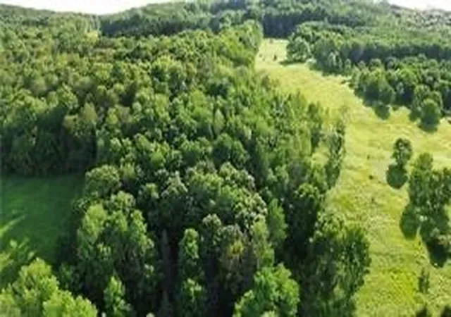 2nd image of County Hwy 6, Otego, NY 13825 | MLS# R1674761