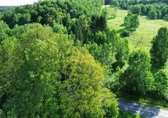 5th image of County Hwy 6, Otego, NY 13825 | MLS# R1674761