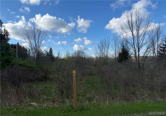 10th image of 0 Hubbard Rd, East Aurora, NY 14052 | MLS# B1674705