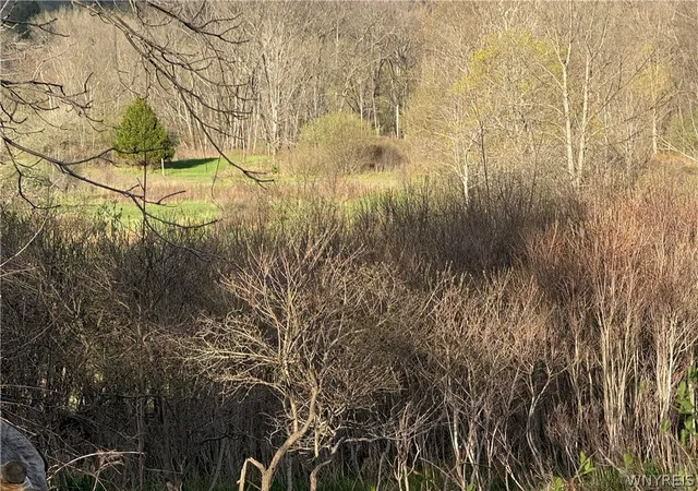 3rd image of 0 Hubbard Rd, East Aurora, NY 14052 | MLS# B1674705