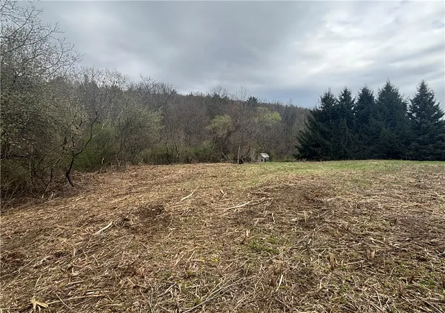 3rd image of 10212 State Route 36, Dansville, NY 14437 | MLS# R1674955