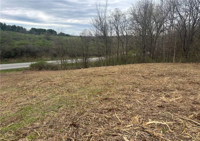 4th image of 10212 State Route 36, Dansville, NY 14437 | MLS# R1674955
