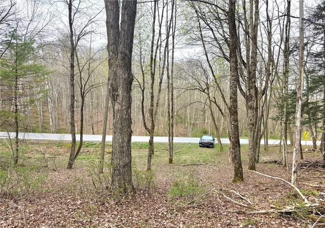 2nd image of County Hwy 52, Middlefield, NY 13326 | MLS# R1675246