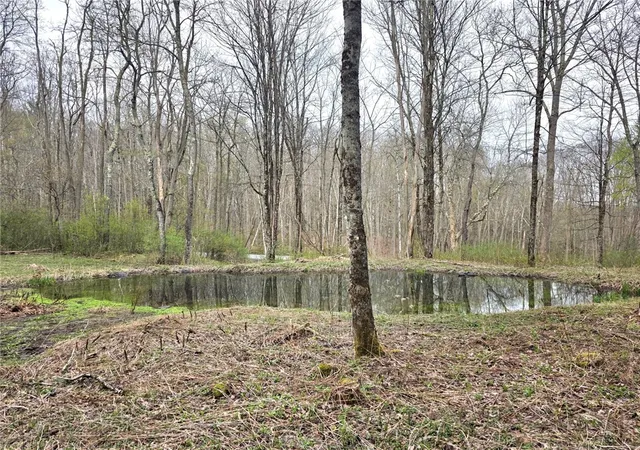 3rd image of County Hwy 52, Middlefield, NY 13326 | MLS# R1675246