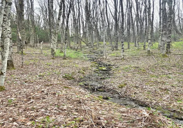 4th image of County Hwy 52, Middlefield, NY 13326 | MLS# R1675246