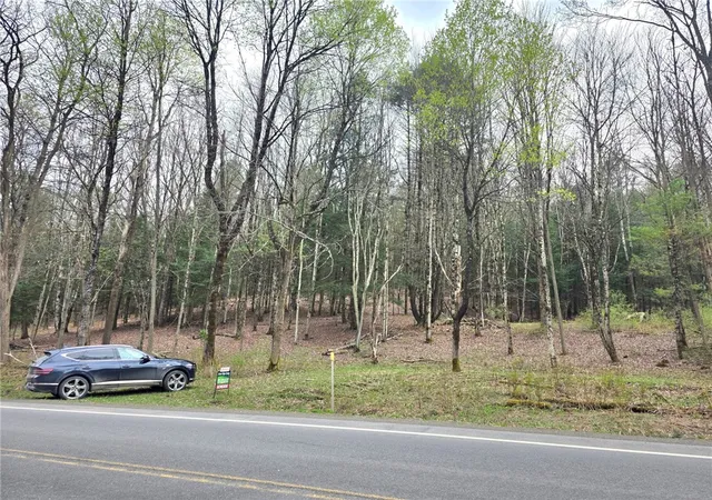 5th image of County Hwy 52, Middlefield, NY 13326 | MLS# R1675246