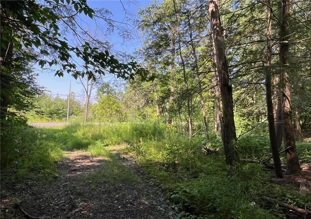 Homes for sale in Arcade, NY | (Undisclosed), Arcade, NY 14009 | MLS# R1675549