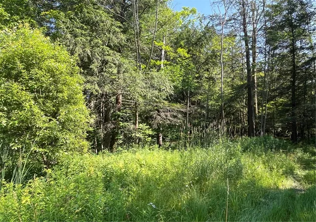 Homes for sale in Arcade, NY | (Undisclosed), Arcade, NY 14009 | MLS# R1675549