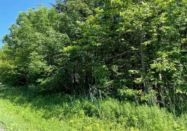 Homes for sale in Arcade, NY | (Undisclosed), Arcade, NY 14009 | MLS# R1675549