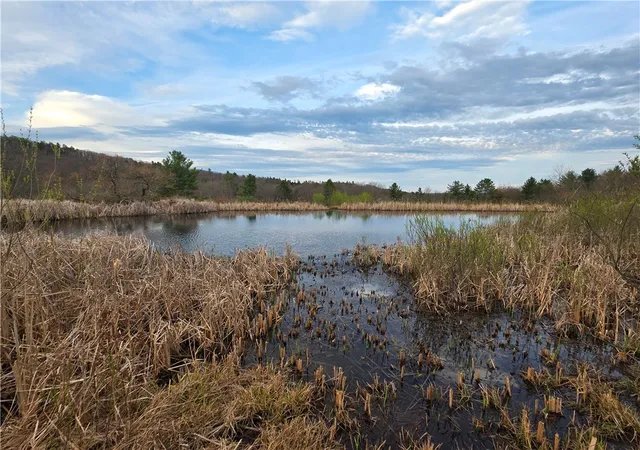 4th image of 846 Butternut Rd, Unadilla, NY 13849 | MLS# R1674446