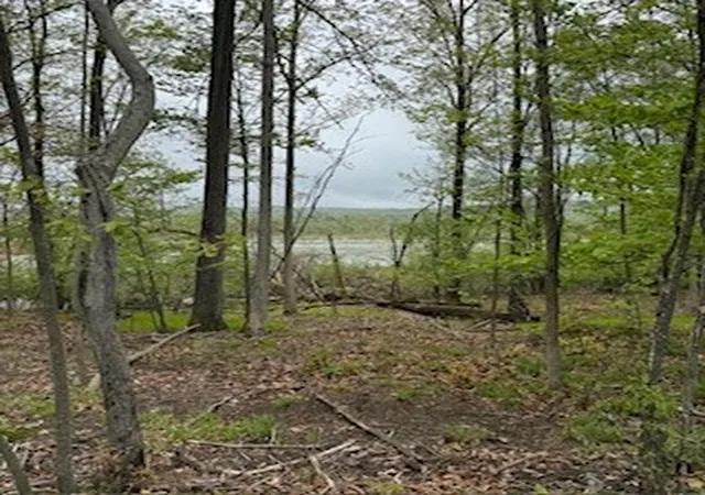 22nd image of 3384 Huggins Rd, Bradford, NY 14815 | MLS# R1675624
