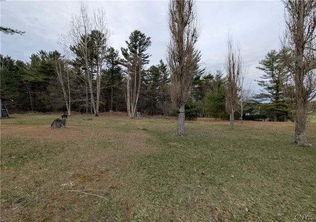Photo 32 of Land for sale at 6 Shaw Rd, Edwards, NY 13635 | MLS# S1675369 | Listing updated on 2026-04-22