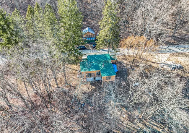 Homes for sale in Callicoon, NY | 484 N Branch Callicoon Ctr Rd, Callicoon, NY 12766 | MLS# R1673504