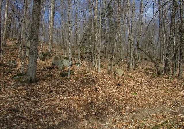 Photo 1 of Land for sale at Capron Rd W, Forestport, NY 13338 | MLS# S1675780 | Listing updated on 2026-07-20