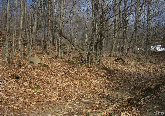 Photo 2 of Land for sale at Capron Rd W, Forestport, NY 13338 | MLS# S1675780 | Listing updated on 2026-07-20