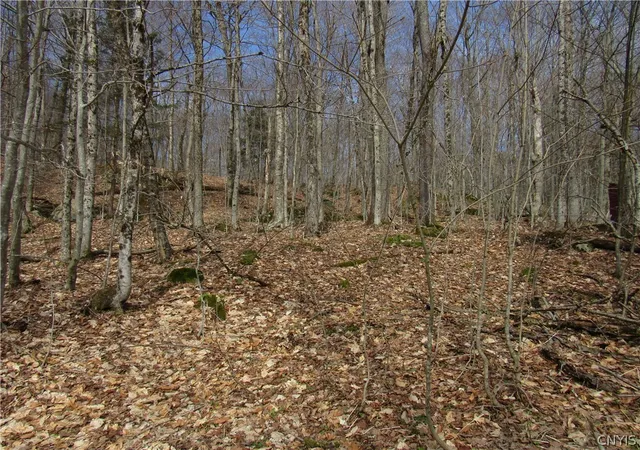 Photo 3 of Land for sale at Capron Rd W, Forestport, NY 13338 | MLS# S1675780 | Listing updated on 2026-07-20
