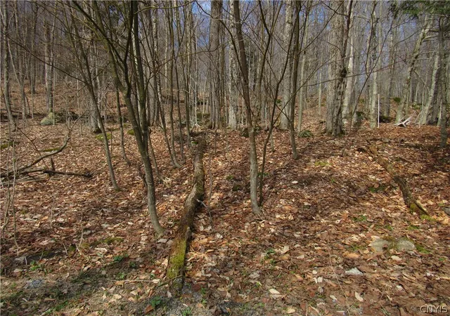 Photo 4 of Land for sale at Capron Rd W, Forestport, NY 13338 | MLS# S1675780 | Listing updated on 2026-07-20