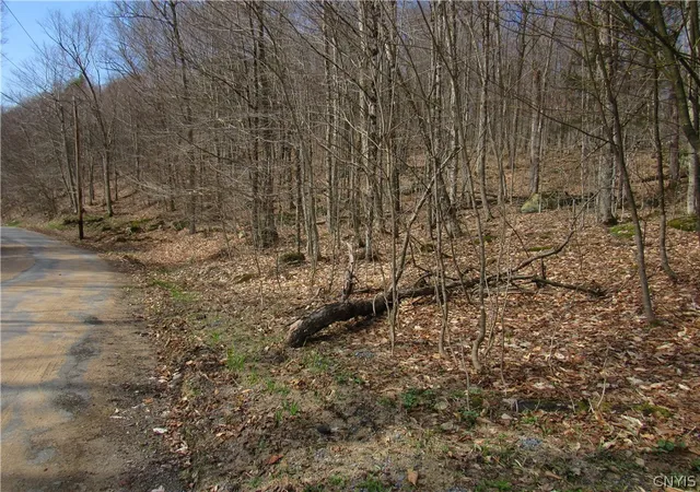 Photo 5 of Land for sale at Capron Rd W, Forestport, NY 13338 | MLS# S1675780 | Listing updated on 2026-07-20