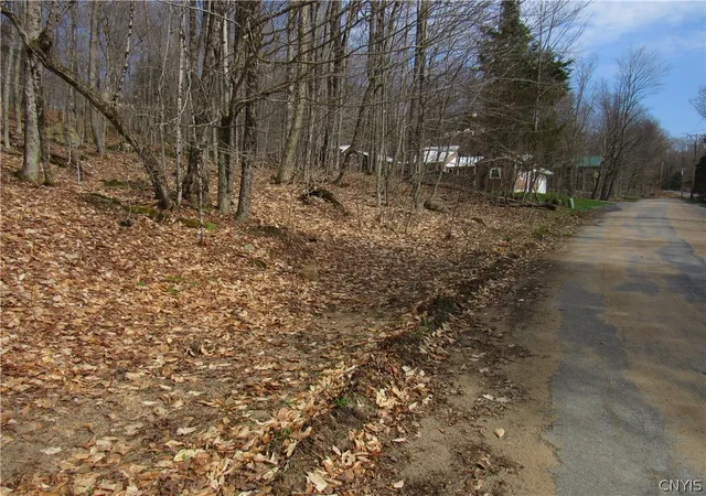 Photo 9 of Land for sale at Capron Rd W, Forestport, NY 13338 | MLS# S1675780 | Listing updated on 2026-07-20