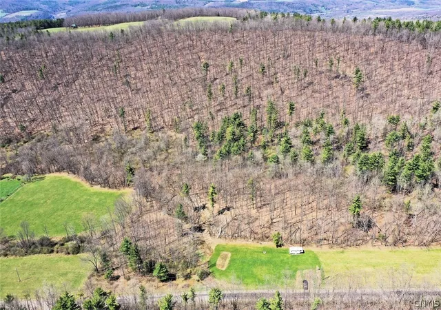 3rd image of 5831 Burt Hill Rd, Canisteo, NY 14823 | MLS# S1675856