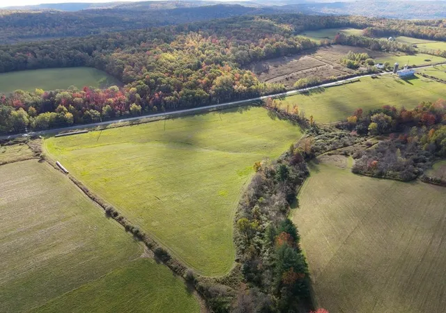 Homes for sale in Veteran, NY | 00 Parrott Rd, Veteran, NY 14824 | MLS# R1675400