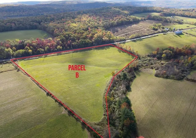 Homes for sale in Veteran, NY | 00 Parrott Rd, Veteran, NY 14824 | MLS# R1675400