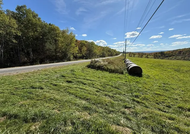 Homes for sale in Veteran, NY | 00 Parrott Rd, Veteran, NY 14824 | MLS# R1675400