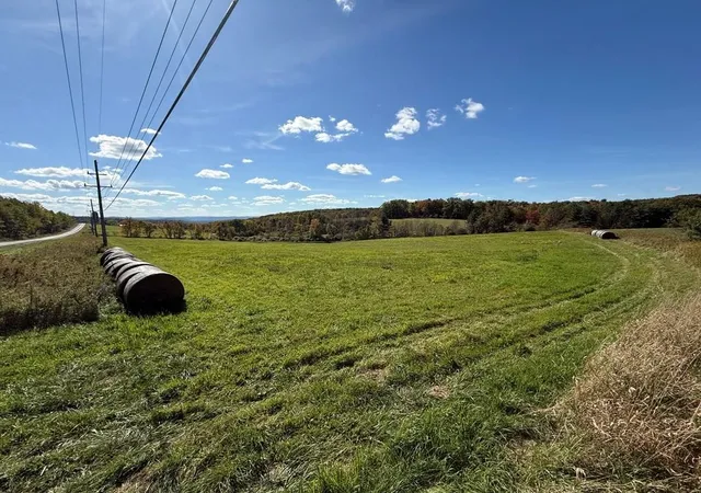 Homes for sale in Veteran, NY | 00 Parrott Rd, Veteran, NY 14824 | MLS# R1675400