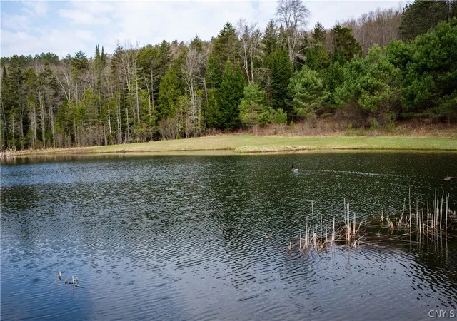 Homes for sale in Norway, NY | 849 Hurricane Rd, Norway, NY 13324 | MLS# S1675981
