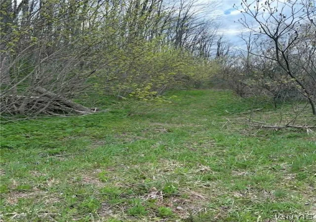 3rd image of 2860 Us Hwy 11, Cortlandville, NY 13045 | MLS# S1676236