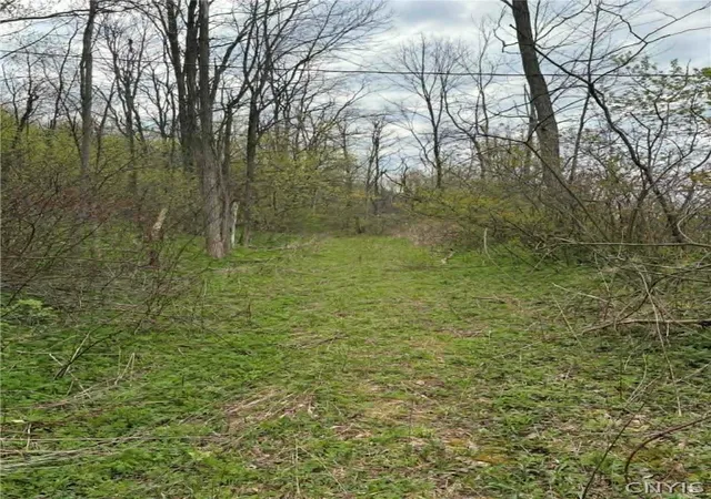 4th image of 2860 Us Hwy 11, Cortlandville, NY 13045 | MLS# S1676236