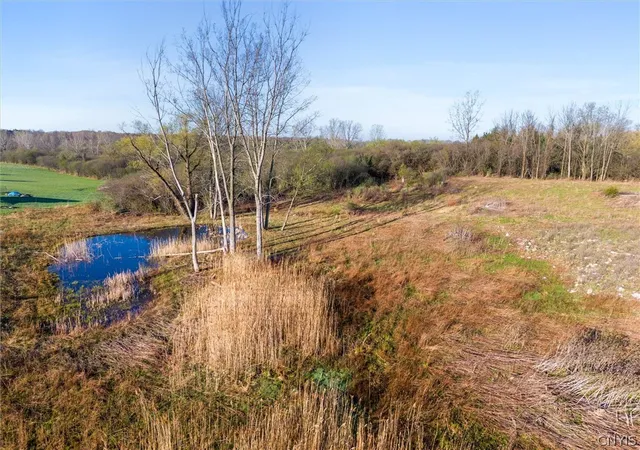 Homes for sale in Sennett, NY | Swamp Rd, Sennett, NY 13021 | MLS# S1676287
