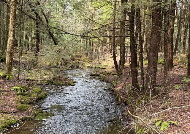 3rd image of 149 Hemlock Ln, German, NY 13040 | MLS# R1676430