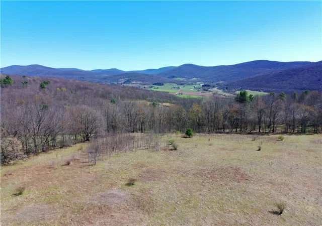 Photo 1 of Land for sale at Lot #1212 Kiff Brk Rd, Bloomville, NY 13739 | MLS# R1676426 | Listing updated on 2026-07-21