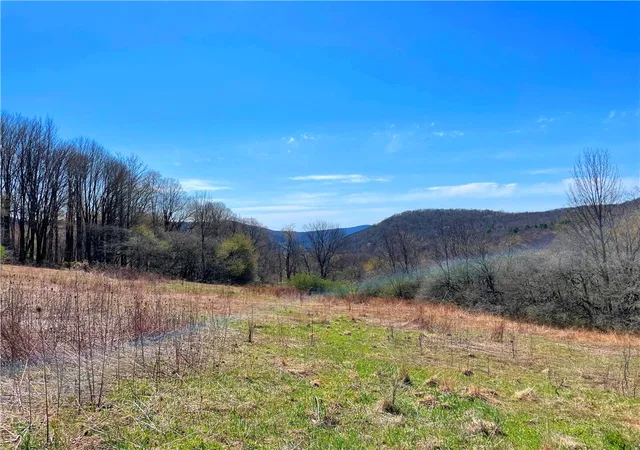 Photo 2 of Land for sale at Lot #1212 Kiff Brk Rd, Bloomville, NY 13739 | MLS# R1676426 | Listing updated on 2026-07-21