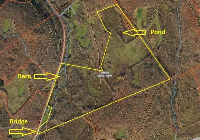 Photo 38 of Land for sale at Lot #1212 Kiff Brk Rd, Bloomville, NY 13739 | MLS# R1676426 | Listing updated on 2026-07-21