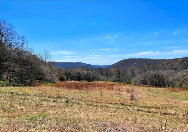 Photo 3 of House for sale at Lot #1212 Kiff Brk Rd, Bloomville, NY 13739 | MLS# R1676426 | Listing updated on 2026-07-21