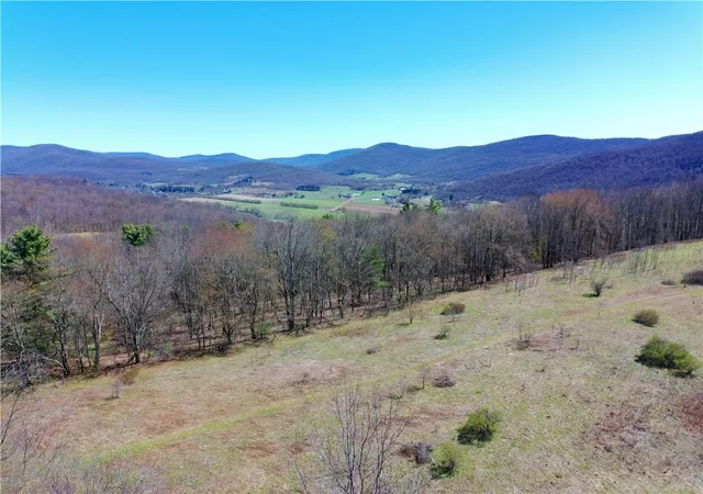 Photo 4 of House for sale at Lot #1212 Kiff Brk Rd, Bloomville, NY 13739 | MLS# R1676426 | Listing updated on 2026-07-21