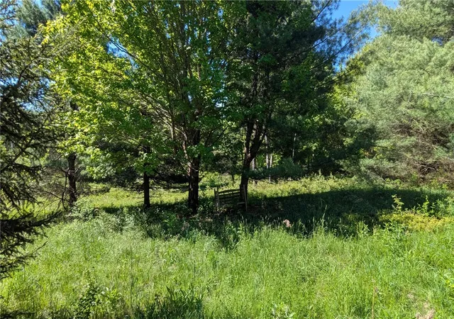 Photo 4 of Sale Pending at 156 Akita Rd, Jefferson, NY 12093 | MLS# R1676624 | Listing updated on 2026-07-23