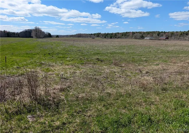 Homes for sale in Clayton, NY | Bald Rock Rd, Clayton, NY 13624 | MLS# S1676716