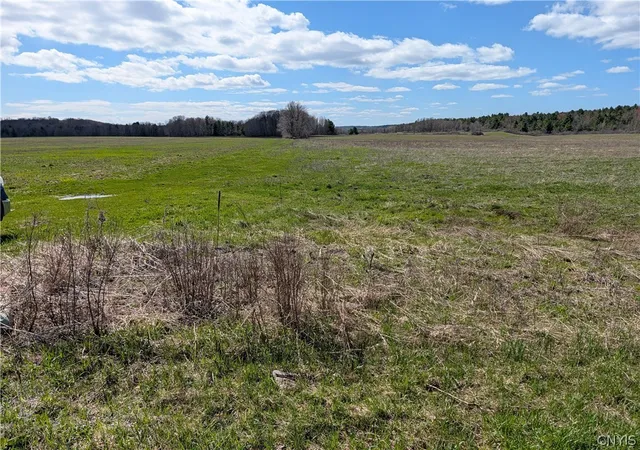 Photo 3 of Land for sale at Bald Rock Rd, Clayton, NY 13624 | MLS# S1676716 | Listing updated on 2026-04-27