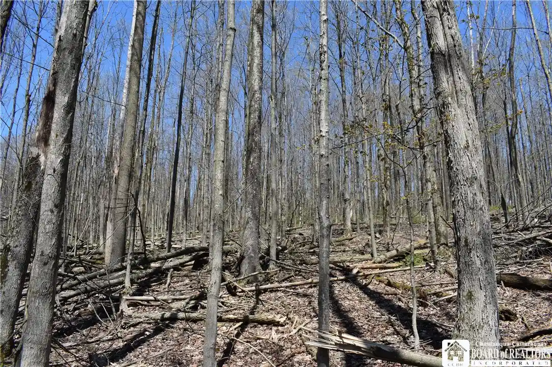 Photo 1 of Land for sale at 0 Cleland Rd, Cherry Creek, NY 14723 | MLS# R1676788 | Listing updated on 2026-04-27
