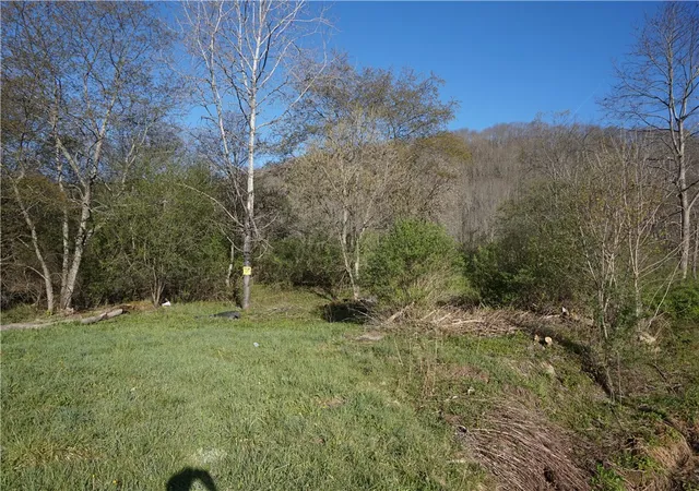 Homes for sale in Bolivar, NY | Co Rd 40 (reed St), Bolivar, NY 14715 | MLS# R1676643